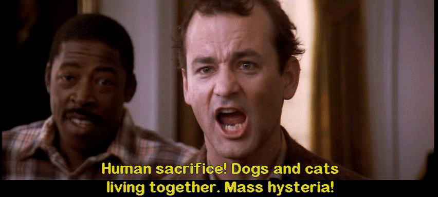 116597-bill-murray-ghostbusters-meme-LWwb.gif